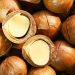 Kenyan macadamia growers seek lift on raw export ban Kenyan macadamia growers seek lift on raw export ban