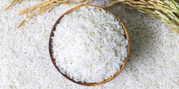 Contractors Supplying School Feeding Programme Import Rice Instead of Buying from Local Farmers — Dr Nyaaba Contractors Supplying School Feeding Programme Import Rice Instead of Buying from Local Farmers — Dr Nyaaba