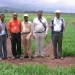 From Rust Threat to Wheat Expansion in Ethiopia