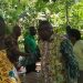 COCOBOD to provide Free Tertiary Education for Cocoa Farmers’ Children