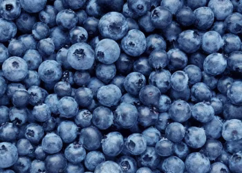 “Ukrainian blueberry sector has demonstrated remarkable adaptability”