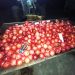 19 tons of contaminated pomegranates destroyed before reaching consumers