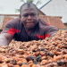 Government didn’t instruct cocoa buyers to halt purchases — LBCs President Government didn’t instruct cocoa buyers to halt purchases — LBCs President