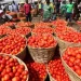 Ghana–Burkina Faso Intensify Trade Talks Over Tomato Export Ban Ghana–Burkina Faso Intensify Trade Talks Over Tomato Export Ban