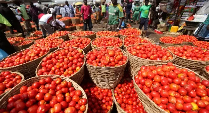 Ghana–Burkina Faso Intensify Trade Talks Over Tomato Export Ban Ghana–Burkina Faso Intensify Trade Talks Over Tomato Export Ban