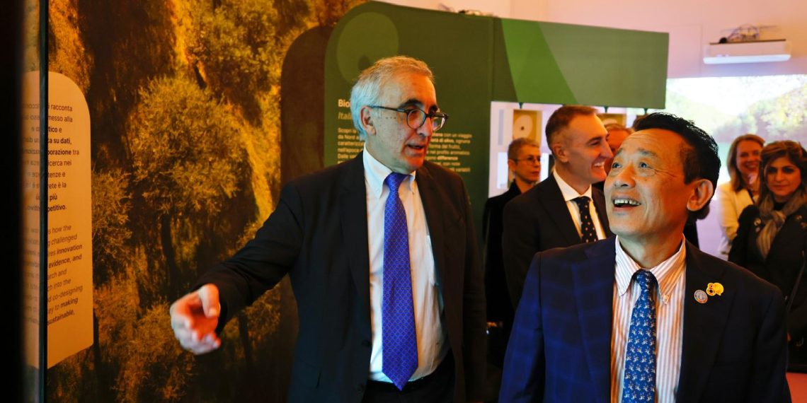 FAO’s Food and Agriculture Museum and Network links with new WOW Agrifood Museum in Siena