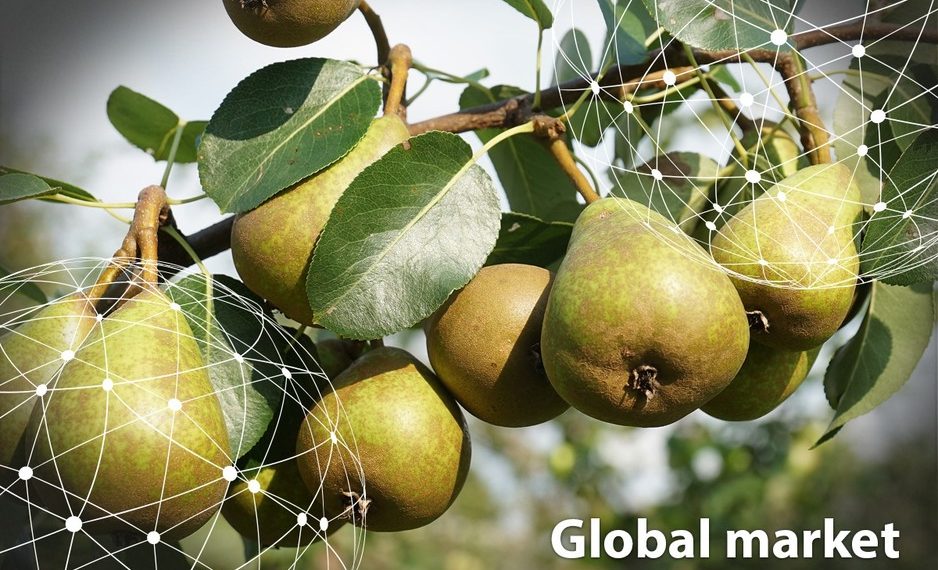 GLOBAL MARKET OVERVIEW PEARS GLOBAL MARKET OVERVIEW PEARS