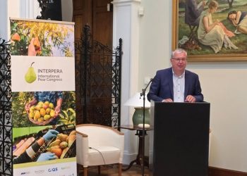 Italy to host international pear conference in Ferrara