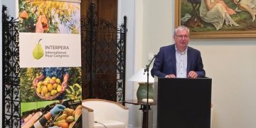 Italy to host international pear conference in Ferrara