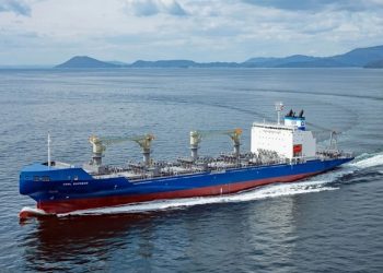 Chilean fruit exports to U.S. reach 260,000 pallets despite lower demand