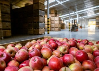 Netherlands shifts organic import inspection costs to importers