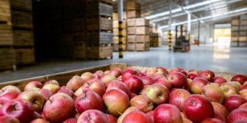 Netherlands shifts organic import inspection costs to importers Netherlands shifts organic import inspection costs to importers