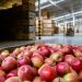 Netherlands shifts organic import inspection costs to importers