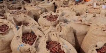 Three Arrested for Smuggling Over 100 Bags of Cocoa into Ghana