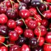 India to start cherry procurement in Shimla with focus on cold chain