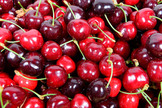 India to start cherry procurement in Shimla with focus on cold chain