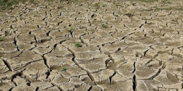 U.S. declares 82 North Carolina counties disaster areas due to drought