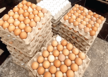 Eggs go Waste at Kantamanto as Demand Drops