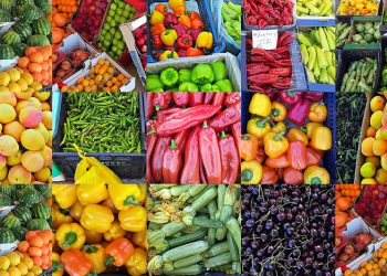 South Africa faces export restrictions in SACU markets