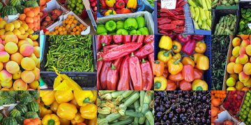 South Africa faces export restrictions in SACU markets