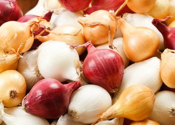 Nigeria halts onion exports to Ghana over trade dispute