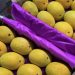 “Low yields make it crucial to spot real Alphonso mangoes from fake ones this season”