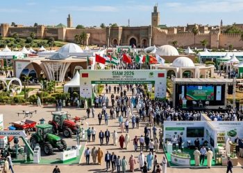 Morocco’s agriculture shifts from performance to sustainability