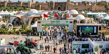 Morocco’s agriculture shifts from performance to sustainability