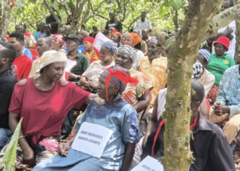Cocoa Farmers in Ahafo Region Protest Delayed Payments