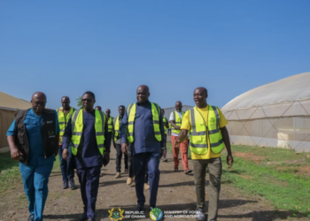 Maphlix Farms to Supply 3,000 Tonnes to Help Bridge Tomato Deficit