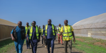 Maphlix Farms to Supply 3,000 Tonnes to Help Bridge Tomato Deficit