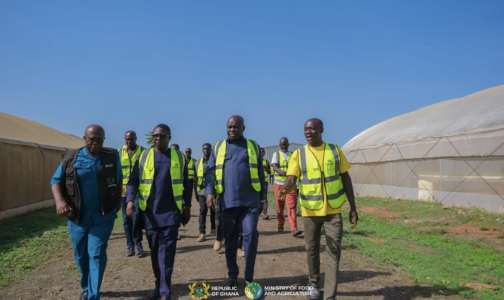 Maphlix Farms to Supply 3,000 Tonnes to Help Bridge Tomato Deficit Maphlix Farms to Supply 3,000 Tonnes to Help Bridge Tomato Deficit