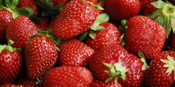 Egypt denies claims of rejected strawberry exports