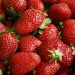 Egypt denies claims of rejected strawberry exports