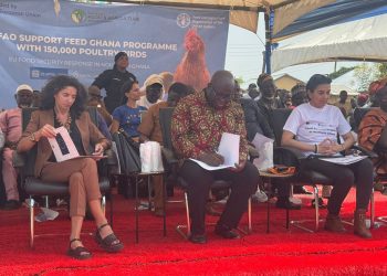 NR: 3,000 Farmers Receive 150,000 Chicks as Government Pushes to Cut 0m Poultry Imports