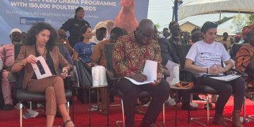 NR: 3,000 Farmers Receive 150,000 Chicks as Government Pushes to Cut 0m Poultry Imports