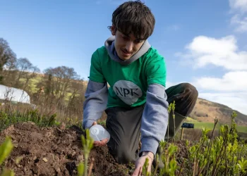 Fertiliser made from human wee to help grow new UK forest