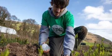 Fertiliser made from human wee to help grow new UK forest