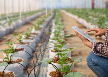 Software Becomes Central to Modern Agriculture