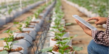 Software Becomes Central to Modern Agriculture