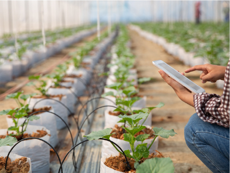 Software Becomes Central to Modern Agriculture Software Becomes Central to Modern Agriculture
