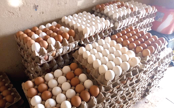 Egg Glut Hits Ghana as Burkina Faso Export Ban Bites Egg Glut Hits Ghana as Burkina Faso Export Ban Bites