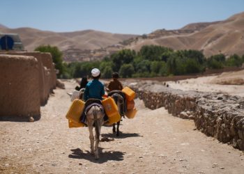 Extreme heat is pushing agrifood systems to the brink worldwide