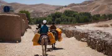 Extreme heat is pushing agrifood systems to the brink worldwide