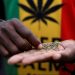 Ghana urged to consider regulated cannabis industry for economic gains