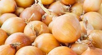 Netherlands to host International Onion Day focused on future production