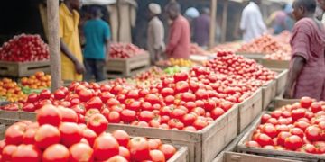 Ghana welcomes Burkina Faso’s move to resume tomato exports