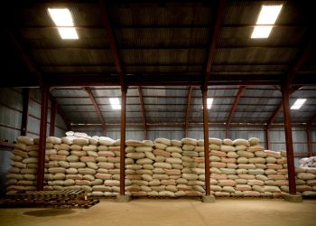 FAO Chief Economist warns of severe global food security risks from disruption to Strait of Hormuz trade corridor