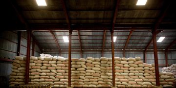 FAO Chief Economist warns of severe global food security risks from disruption to Strait of Hormuz trade corridor