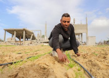 Acute food insecurity and malnutrition remain alarmingly high as crises deepen, UN, EU and partners warn in new report